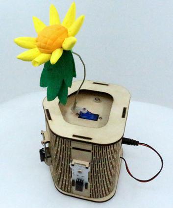 向陽花